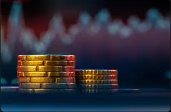 Risk yonetimi buyume firsati